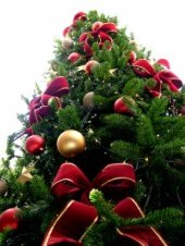 Christmas_tree